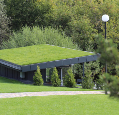 green roof system